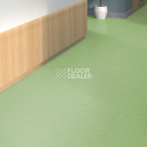 Tarkett iq Melodia 2621 фото 2 | FLOORDEALER